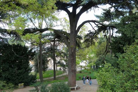 Le Jardin des Plantes: เตรียมพบสวนพฤกษศาสตร์ที่เต็มไปด้วยความลึกลับและวิเศษ!