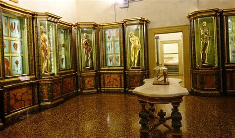  Museo di Palazzo Poggi -  Hidden Treasure Trove of Renaissance Art and History!